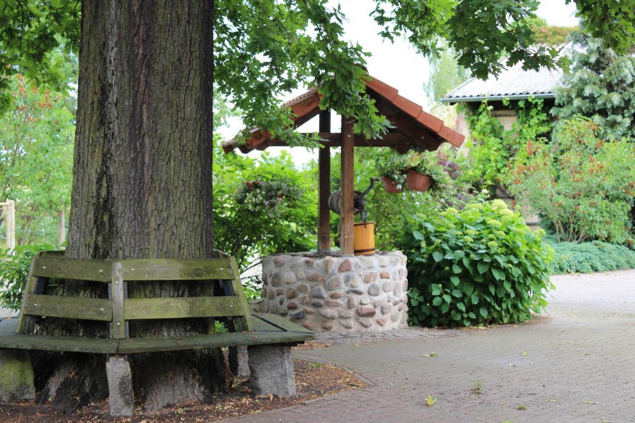 Ferienwohnung Helbig Tätzschwitz エクステリア 写真